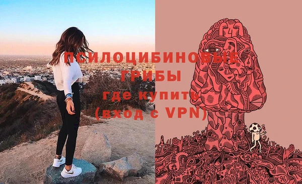каннабис Алзамай