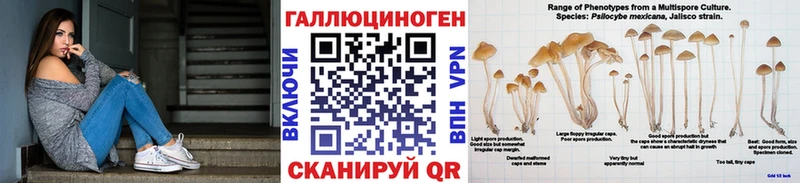 сайты даркнета наркотические препараты Тогучин Псилоцибиновые грибы Magic Shrooms